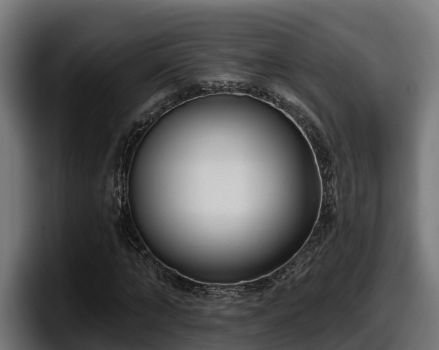 X0000097850870200803201536