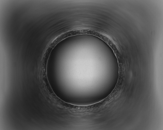 X0000097850871200803201536
