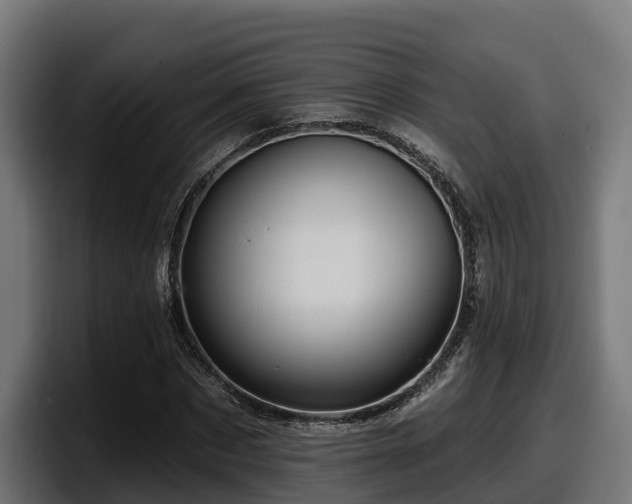 X0000097850873200803201536