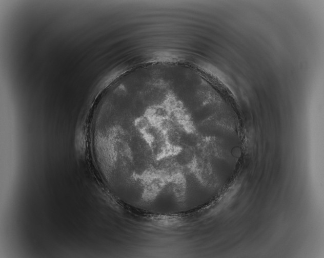X0000097850874200803201536