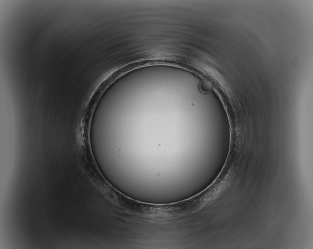 X0000097850875200803201536