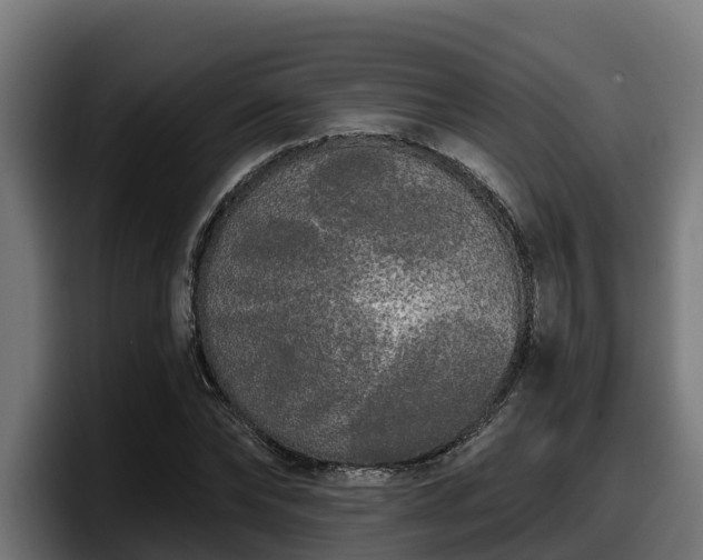 X0000097850878200803201536