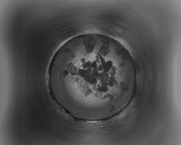 X0000097850879200803201536