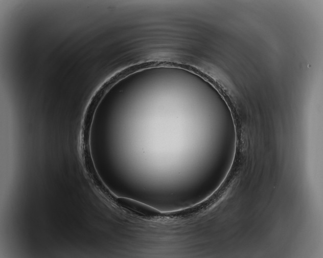 X0000097850880200803201536