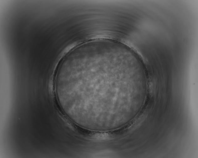 X0000097850882200803201536