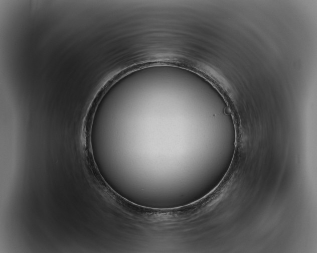 X0000097850883200803201536