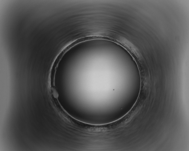 X0000097850884200803201536