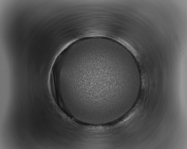 X0000097850885200803201536