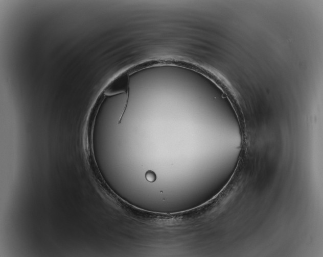 X0000097850887200803201536