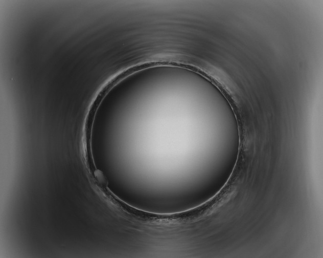 X0000097850888200803201536