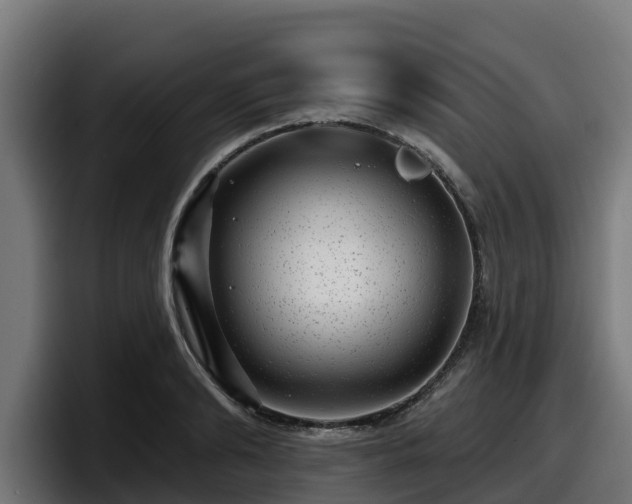 X0000097850894200803201535