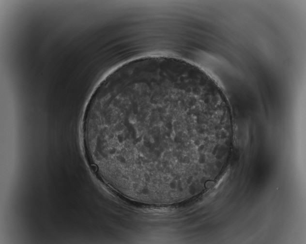 X0000097850895200803201535