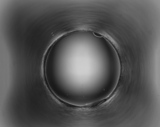 X0000097850902200803201535