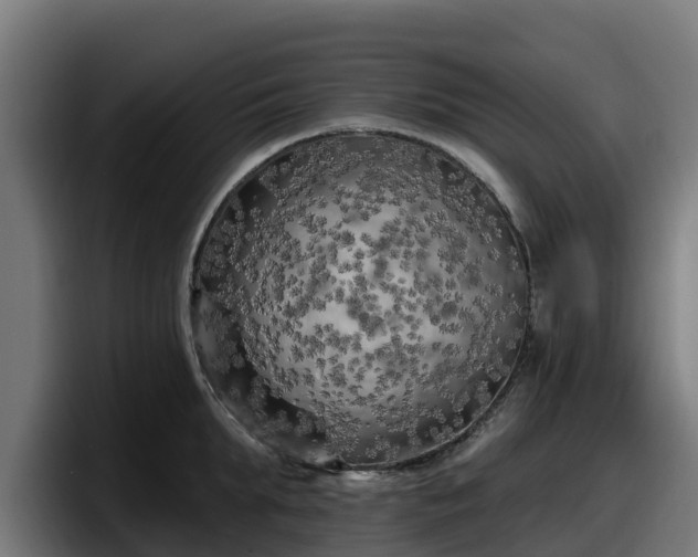 X0000097850903200803201535