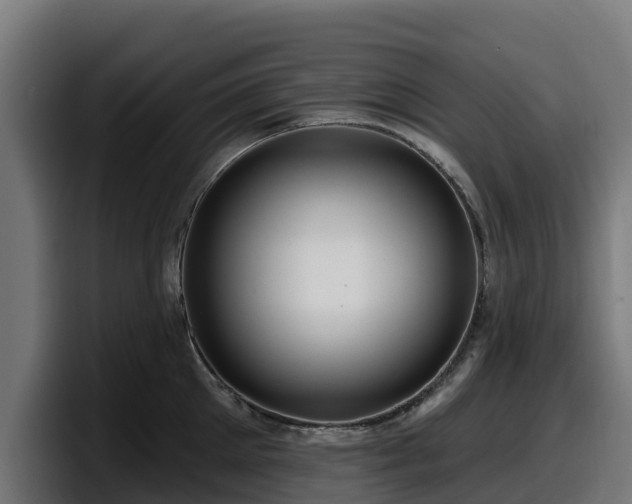 X0000097850905200803201535