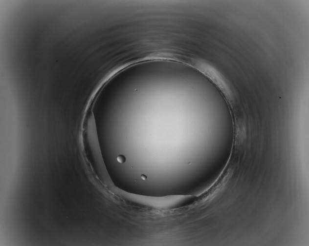 X0000097850908200803201535