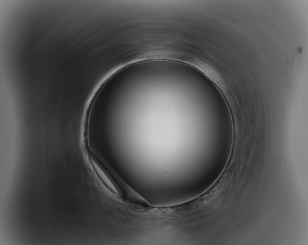 X0000097850912200803201535