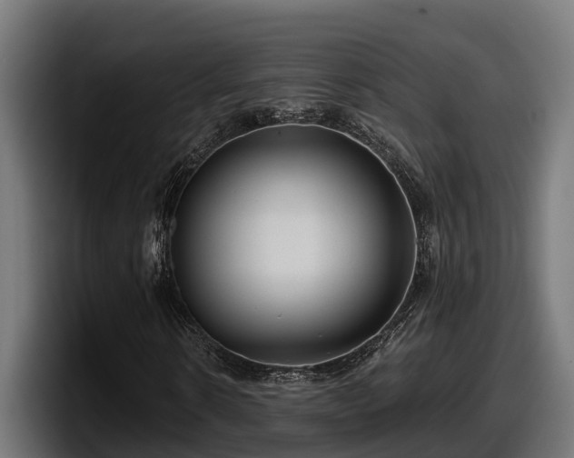 X0000097850914200803201535