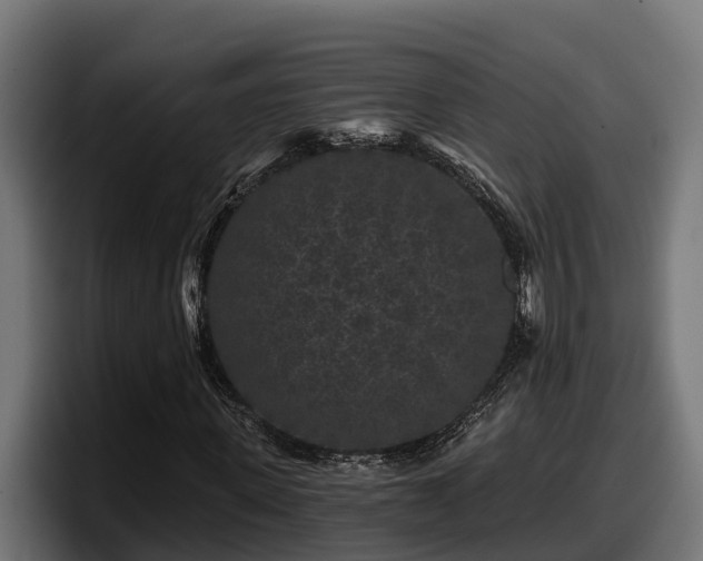 X0000097850915200803201535