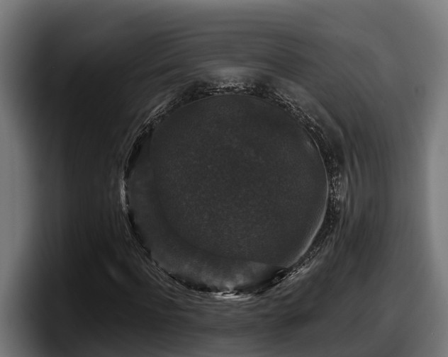 X0000097850916200803201535