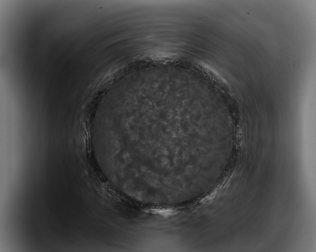 X0000097850917200803201535