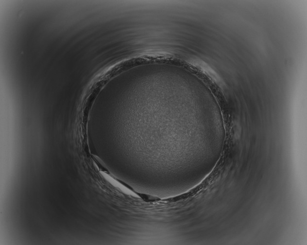 X0000097850920200803201535