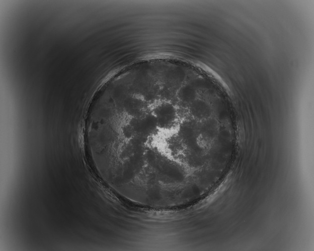 X0000097850921200803201535