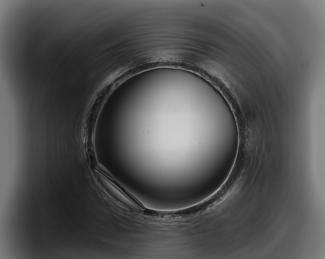 X0000097850922200803201535