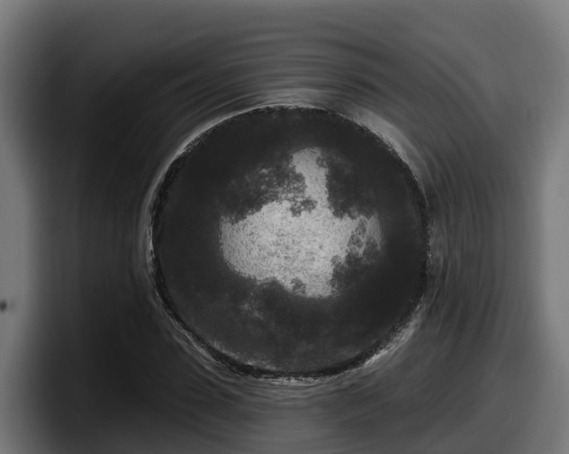 X0000097850923200803201535