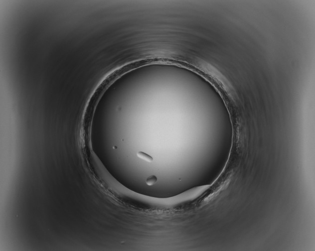 X0000097850924200803201535