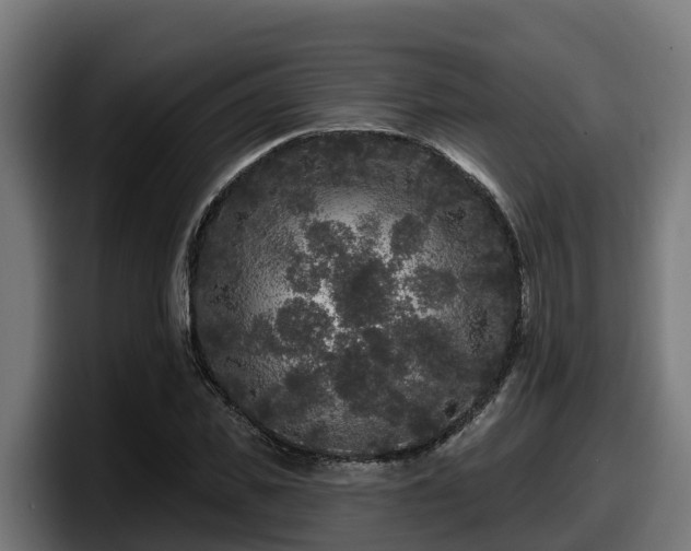 X0000097850925200803201535