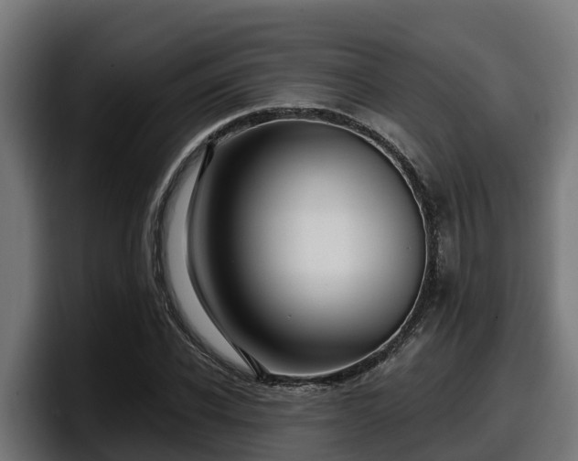 X0000097850926200803201535