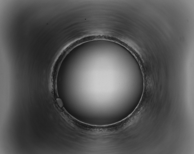 X0000097850927200803201535