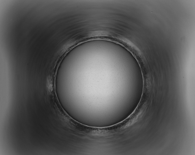 X0000097850929200803201535
