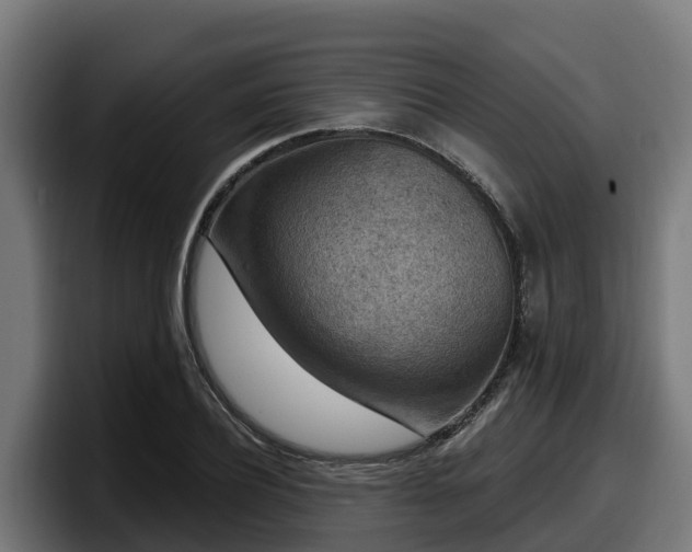 X0000097850932200803201535