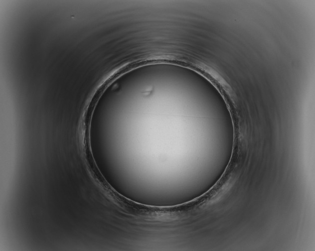 X0000097850933200803201535
