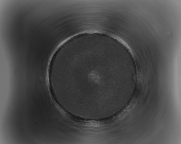 X0000097850935200803201535
