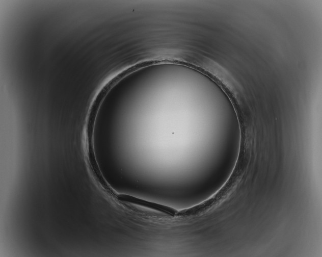 X0000097850936200803201535