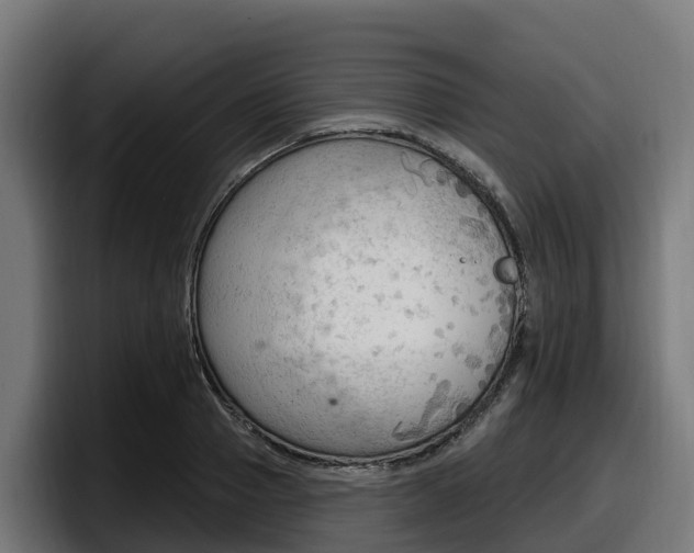 X0000097850937200803201535