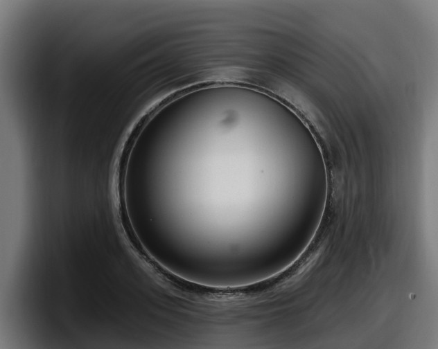 X0000097850939200803201535