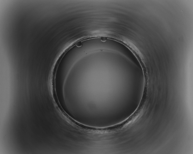 X0000097850941200803201535