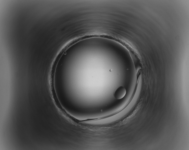 X0000097850942200803201535