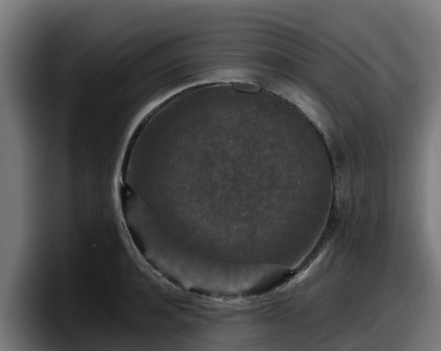 X0000097850944200803201535