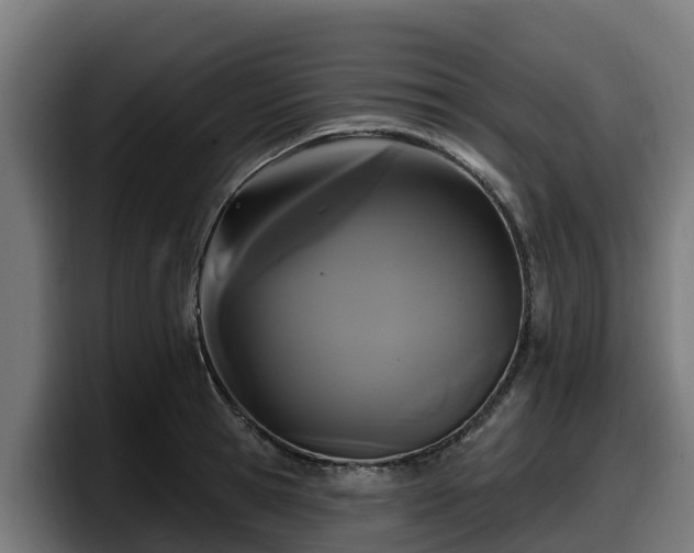 X0000097850945200803201535