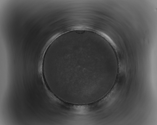 X0000097850946200803201535
