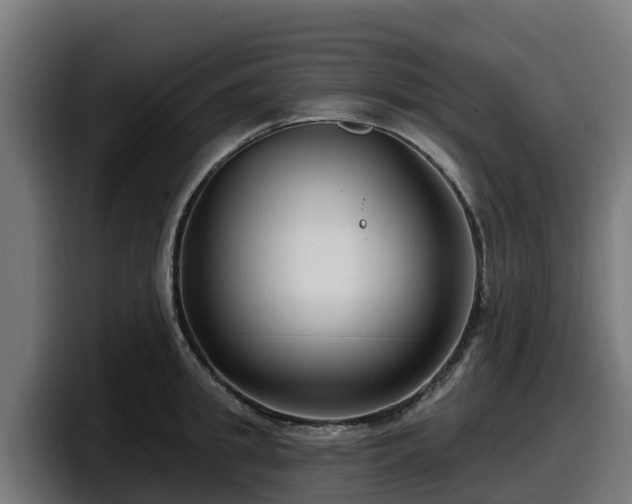 X0000097850949200803201535