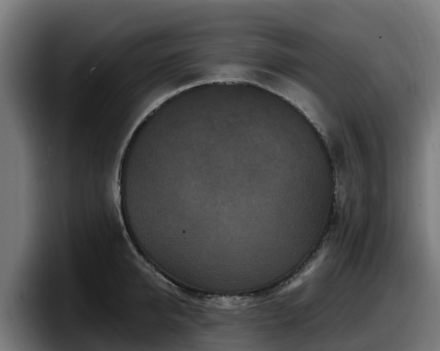 X0000097850950200803201535
