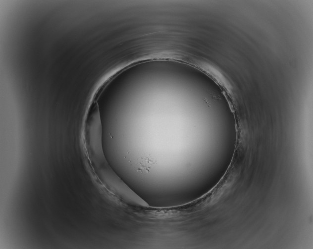 X0000097850952200803201535