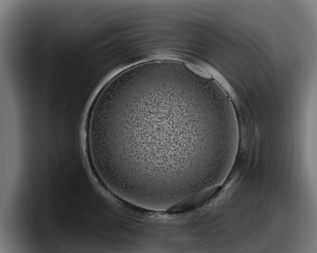 X0000097850955200803201535