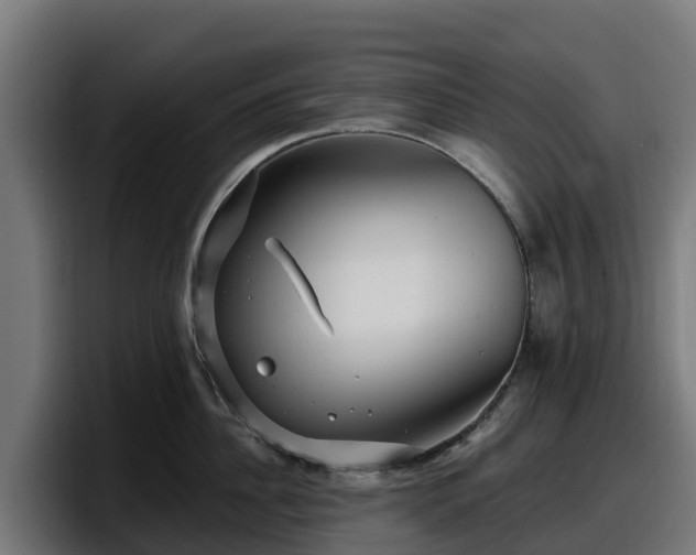 X0000097850956200803201535